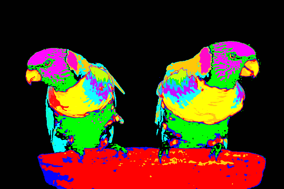 peak assignments in parrot image