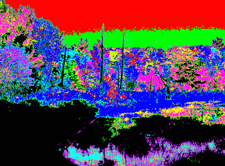 peak assignments in pond image