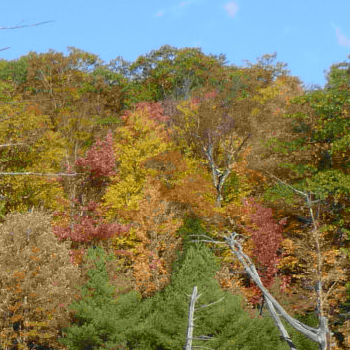 quantization with limit to distance from peak