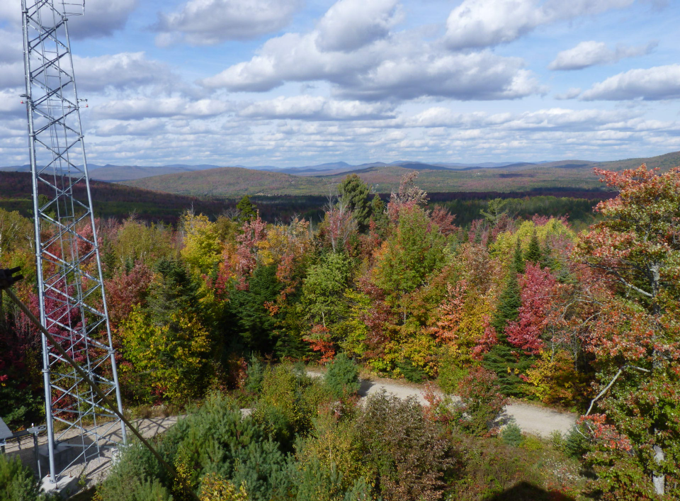original image of landscape