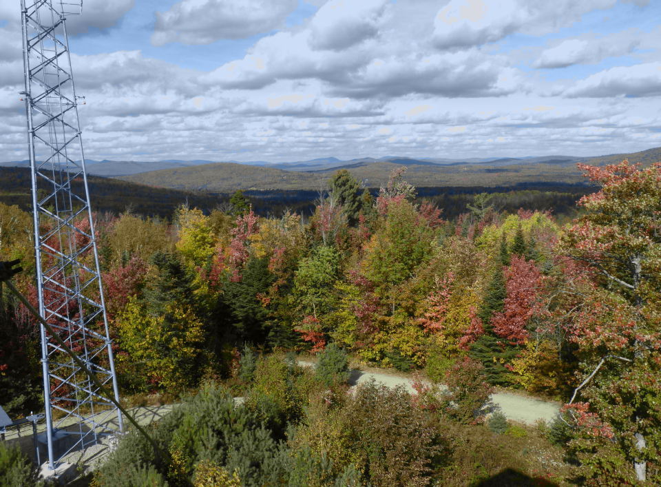 reconstructed image of landscape after quantization