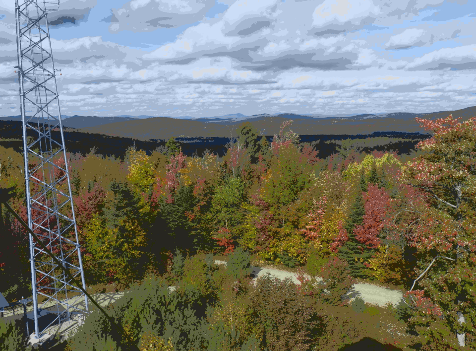 reconstructed landscape after quantizing color and luminance